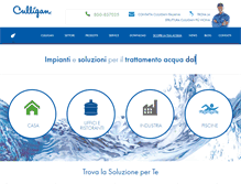 Tablet Screenshot of culligan.it